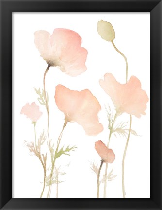 Framed Early Summer Poppies I Print