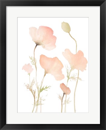 Framed Early Summer Poppies I Print