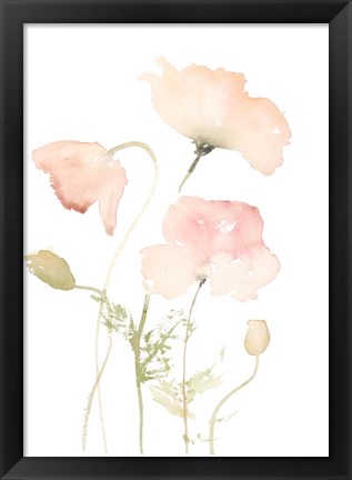 Framed Early Summer Poppies II Print