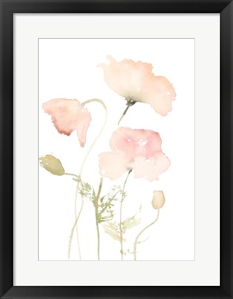 Framed Early Summer Poppies II Print