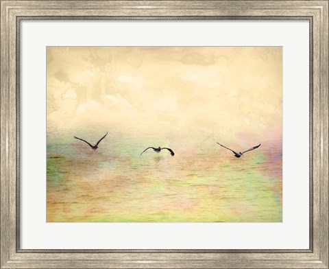 Framed Seagulls In The Sky I Print
