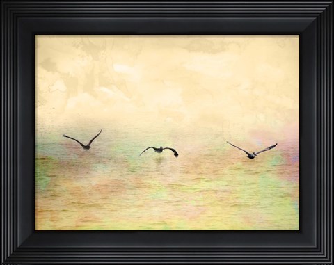 Framed Seagulls In The Sky I Print