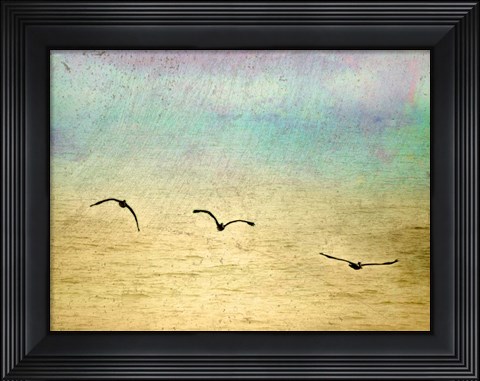 Framed Seagulls In The Sky II Print