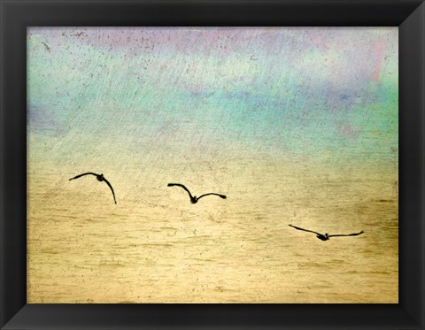 Framed Seagulls In The Sky II Print