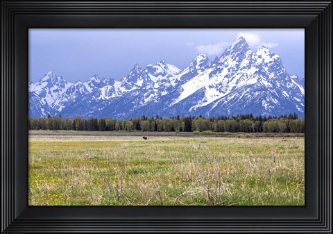 Framed Foothills Print