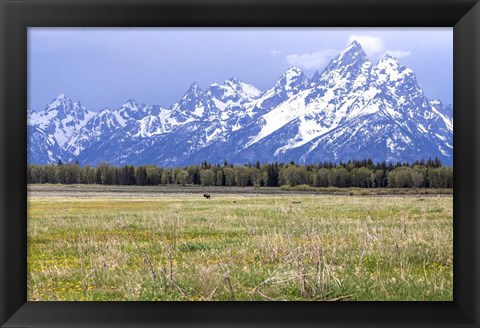 Framed Foothills Print