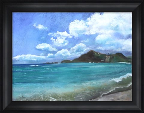 Framed Caribbean Splendor Print