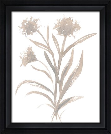 Framed Beige Herb II Print
