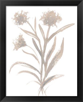 Framed Beige Herb II Print