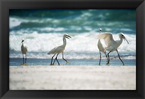 Framed Egret Walk Print