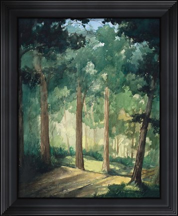 Framed Walk In The Woods Print