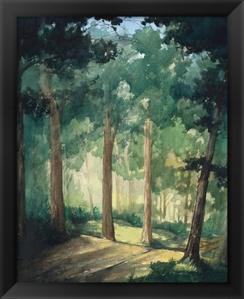 Framed Walk In The Woods Print