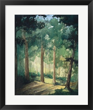 Framed Walk In The Woods Print