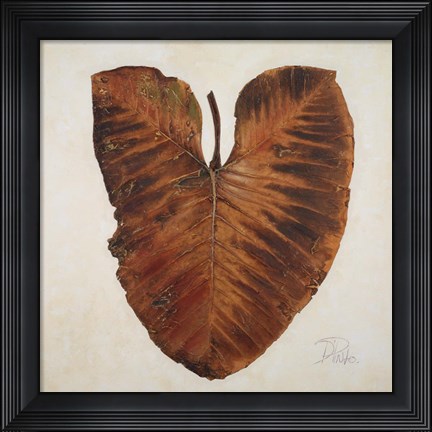 Framed Amazonas I Print