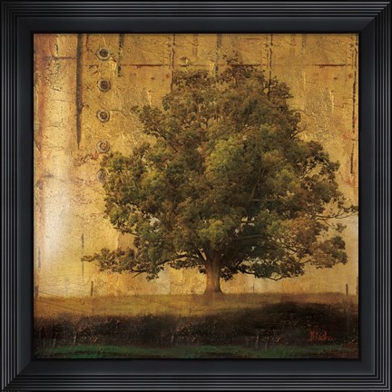Framed Aged Tree I Print