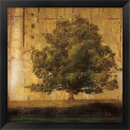 Framed Aged Tree I Print