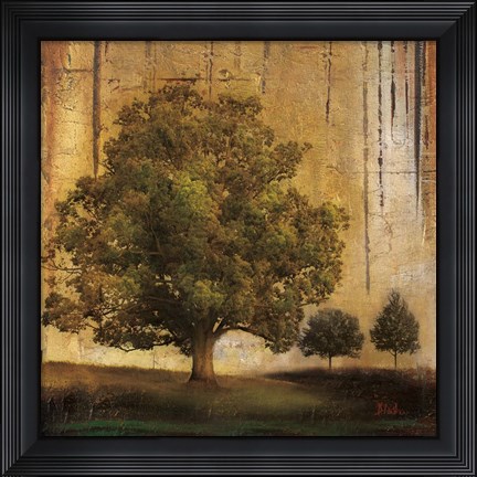 Framed Aged Tree II Print