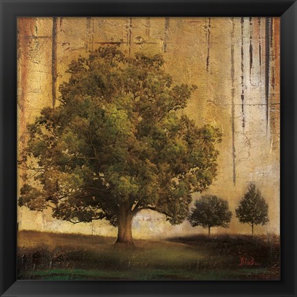 Framed Aged Tree II Print