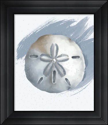 Framed Sand Dollar Print