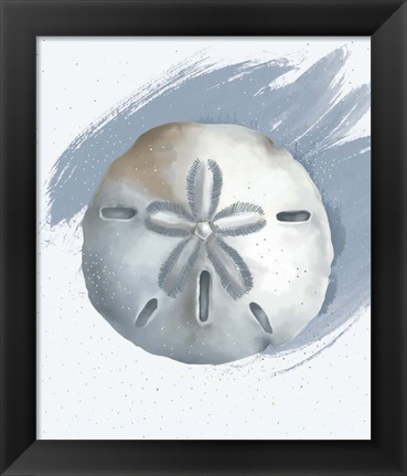 Framed Sand Dollar Print