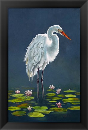 Framed Egret Amongst The Lily Pads Print