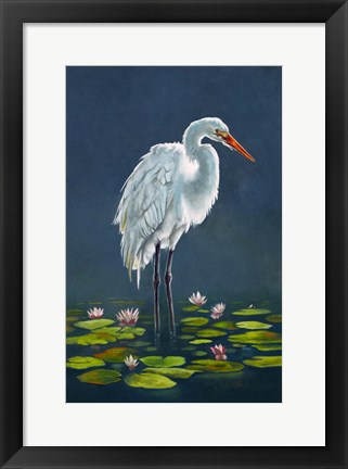 Framed Egret Amongst The Lily Pads Print