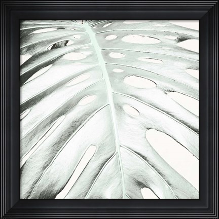 Framed Summer Palm Print
