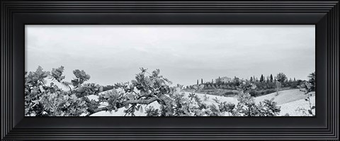 Framed Villa View Light Crop Print