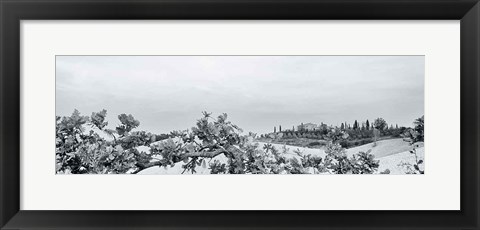 Framed Villa View Light Crop Print