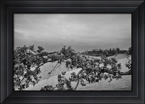 Framed Villa View Print