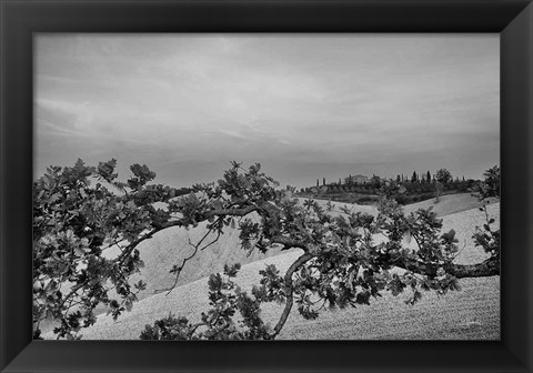 Framed Villa View Print