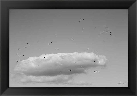 Framed Flock in Flight Print