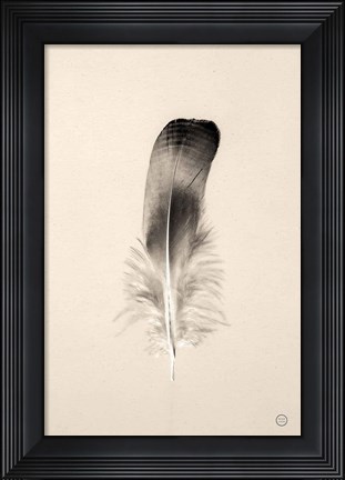 Framed Floating Feathers IV Sepia Print