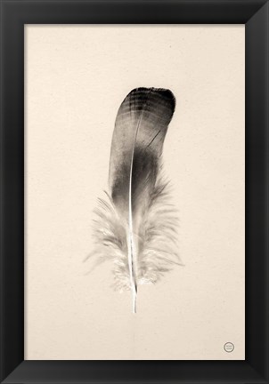 Framed Floating Feathers IV Sepia Print