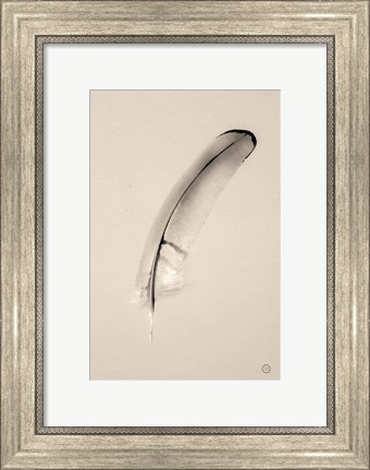 Framed Floating Feathers III Sepia Print