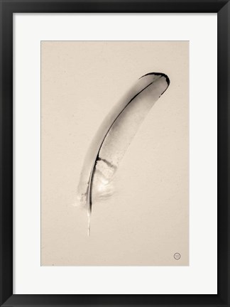 Framed Floating Feathers III Sepia Print