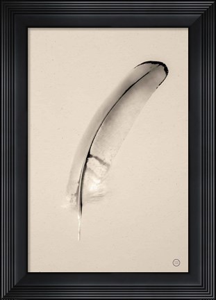 Framed Floating Feathers III Sepia Print