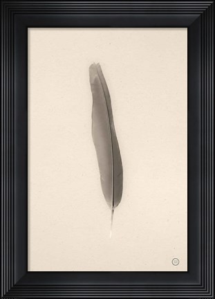 Framed Floating Feathers II Sepia Print