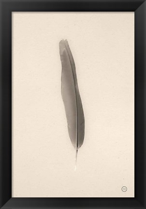 Framed Floating Feathers II Sepia Print