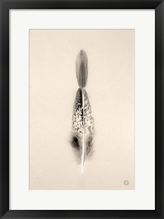 Framed Floating Feathers I Sepia Print