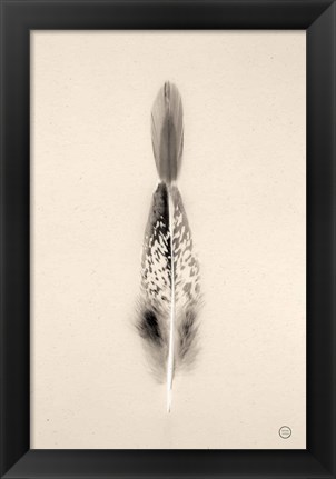 Framed Floating Feathers I Sepia Print