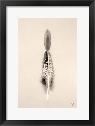 Framed Floating Feathers I Sepia Print