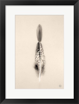 Framed Floating Feathers I Sepia Print