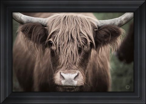 Framed Cow Nose Light Print