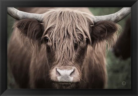 Framed Cow Nose Light Print