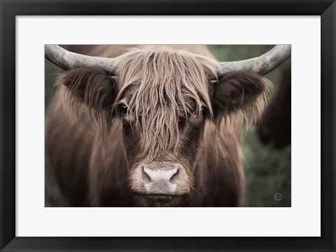 Framed Cow Nose Light Print
