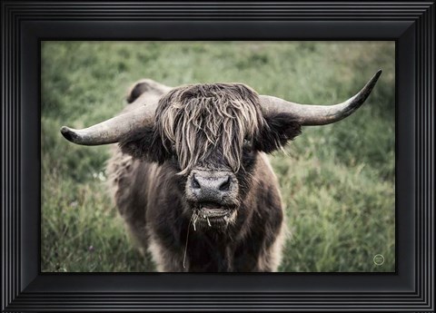 Framed What Print