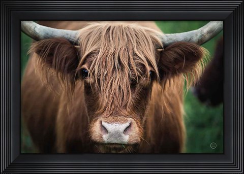 Framed Cow Nose Print