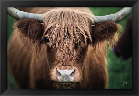 Framed Cow Nose Print