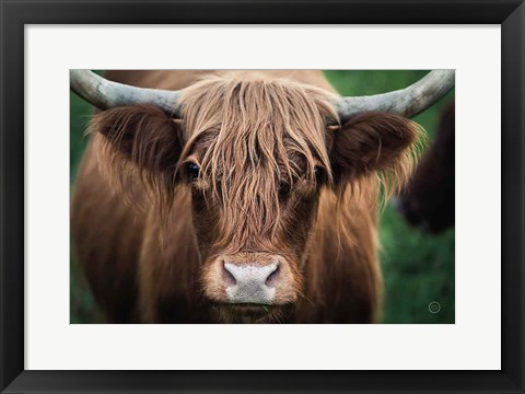 Framed Cow Nose Print